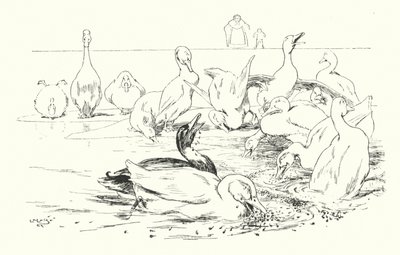 Dame, pourquoi vos canards meurent-ils - Leonard Leslie Brooke