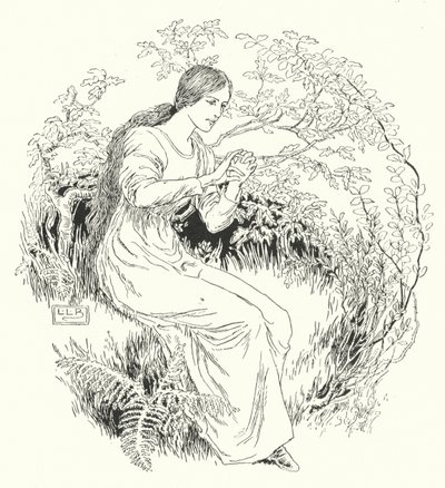 Je suis allé dans le bois et je l
