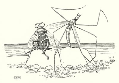 Le Papa-Longues-Jambes et la Mouche - Leonard Leslie Brooke
