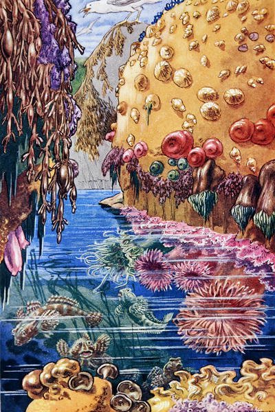 Illustration de 