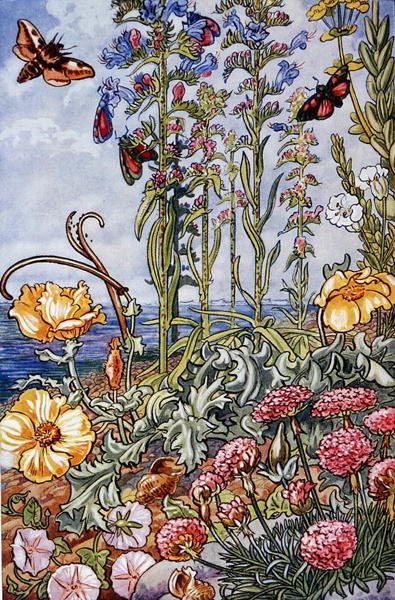 Illustration de 