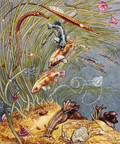 Illustration de 