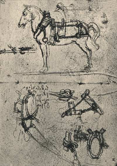 Un cheval de trait harnaché et études de harnais, vers 1480 1945 - Leonardo da Vinci