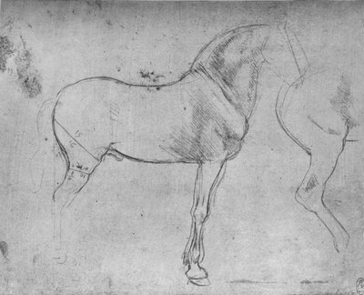 Un cheval de profil à droite et ses quartiers arrière, vers 1480 - Leonardo da Vinci