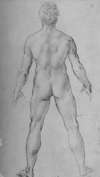Un homme nu vu de dos, vers 1480 - Leonardo da Vinci