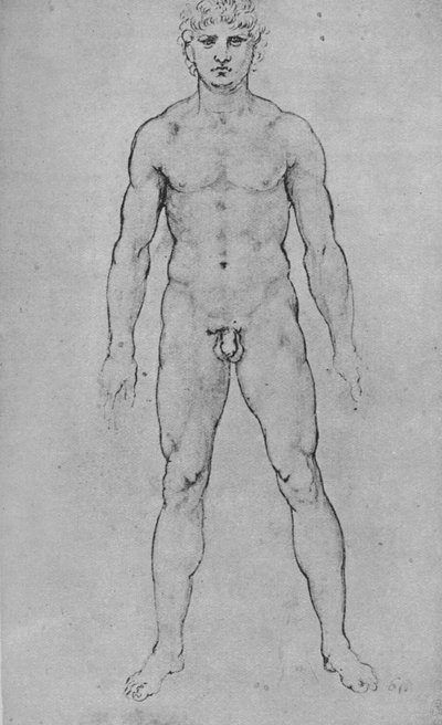 Un homme nu vu de face, vers 1480, 1945 - Leonardo da Vinci