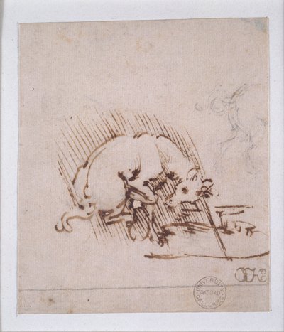 Unicorne - Leonardo da Vinci