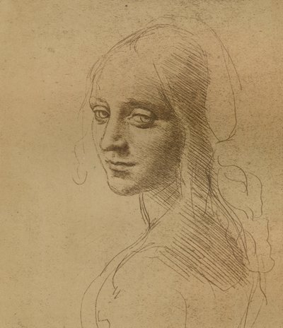 Une tête de femme, c1472-c1519 - Leonardo da Vinci