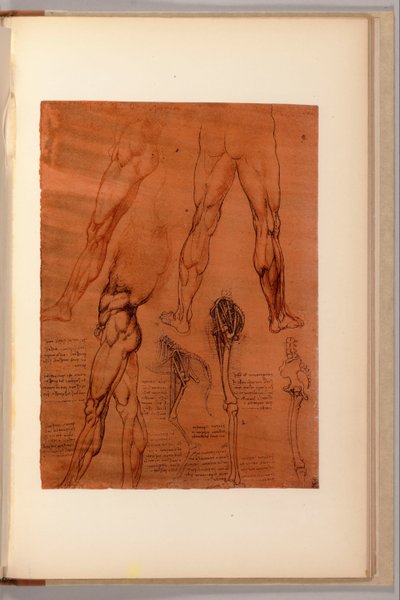 Une page de "Quaderni d
