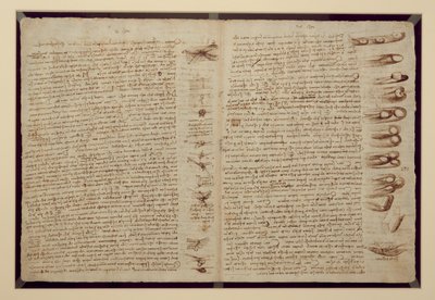 Une page du Codex Leicester, 1508-12 - Leonardo da Vinci