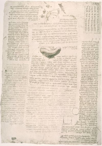 Études anatomiques - Leonardo da Vinci