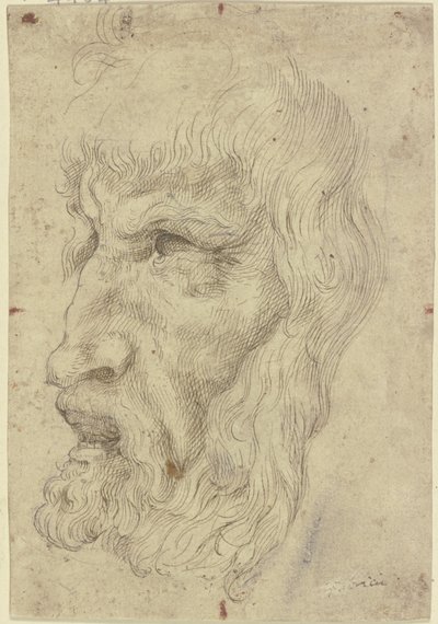 Masques anciens à gauche - Leonardo da Vinci