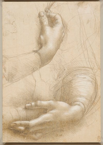 Bras et mains féminines - Leonardo da Vinci
