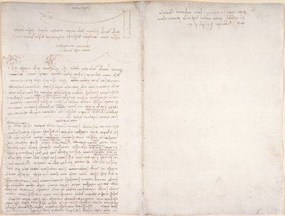 Arundel 263, f.166v, f.163 Notes et diagrammes sur le vol des oiseaux, du 