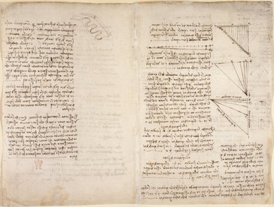 Arundel 263, f.216v, f.217 Notes et croquis du 