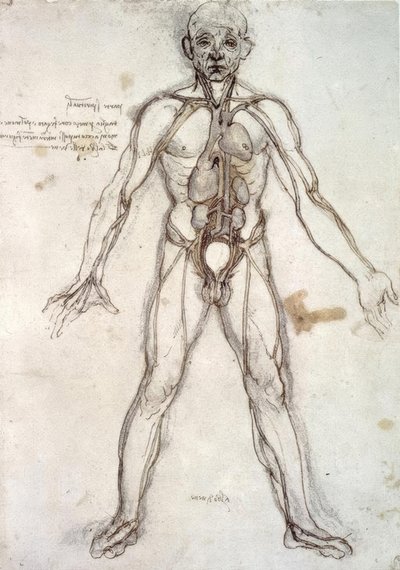 Arbre des vaisseaux - Leonardo da Vinci