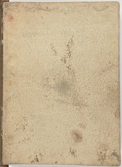 Code sur le vol des oiseaux - Leonardo da Vinci