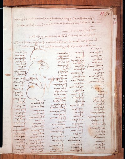 Codex Trivulziano de Léonard de Vinci (1452-1519) - Bibliothèque Trivulziana, Milan - Leonardo da Vinci