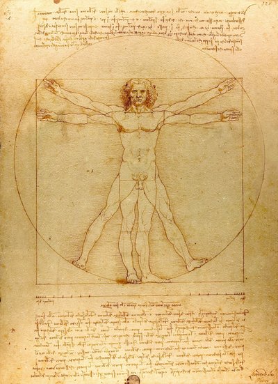 Da Vinci Vitruve Luc Viatour (cropped) - Leonardo da Vinci
