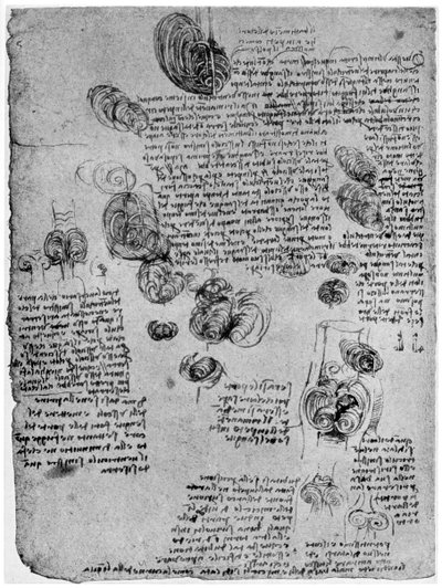 Diagramme du vortex sanguin dans le cœur, fin 15e ou début 16e siècle, 1954 - Leonardo da Vinci