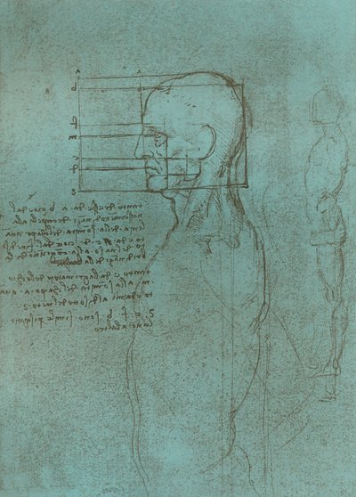 Dessin illustrant la théorie des proportions de la figure humaine, vers 1472-1519 - Leonardo da Vinci