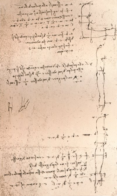 Dessin illustrant la théorie des proportions de la figure humaine, vers 1472-1519 - Leonardo da Vinci
