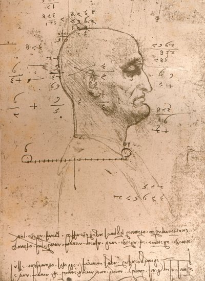 Dessin de la tête d