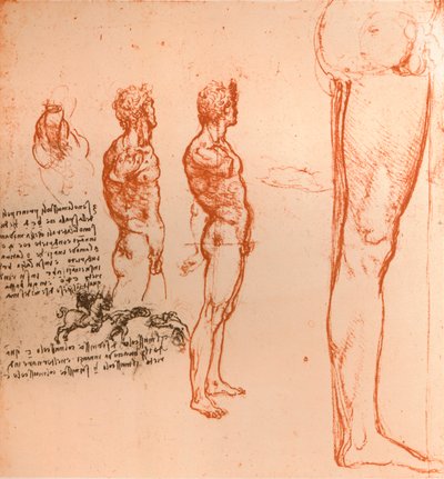 Dessins montrant les mouvements de la figure humaine et des guerriers combattant, vers 1472-1519, 1883 - Leonardo da Vinci