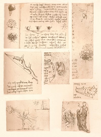 Cinq dessins illustrant les éléments de la peinture de paysage, vers 1472-1519, 1883 - Leonardo da Vinci
