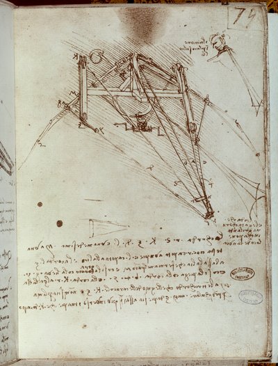 Dessin de machine volante. Manuscrit de Léonard de Vinci - Leonardo da Vinci