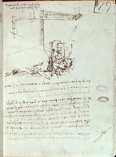Dessin de machine volante - Leonardo da Vinci