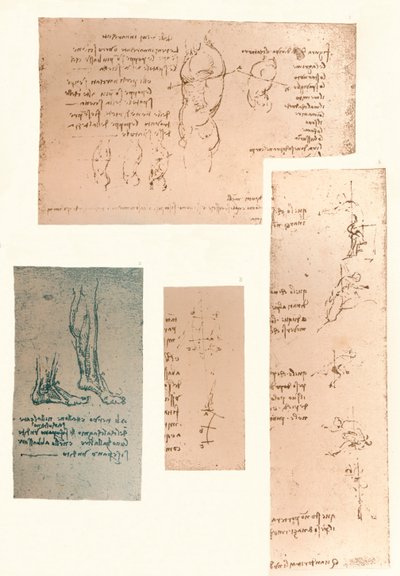 Quatre dessins illustrant la théorie des mouvements de la figure humaine, vers 1472-1519 - Leonardo da Vinci