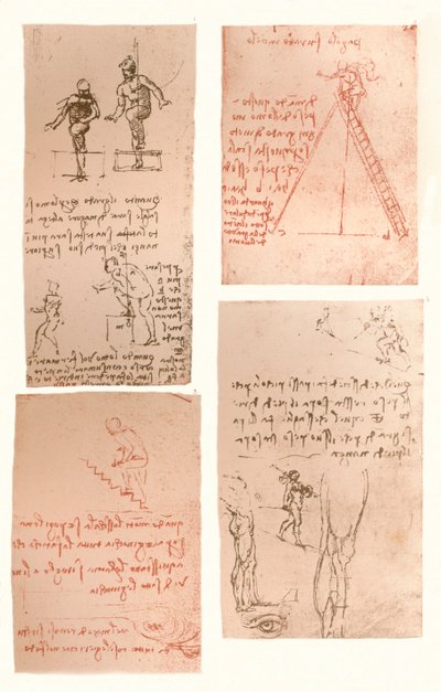 Quatre dessins illustrant la théorie des mouvements de la figure humaine, vers 1472-1519, 1883 - Leonardo da Vinci