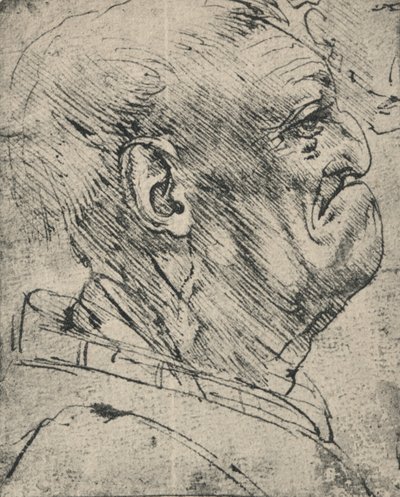 Profil grotesque d