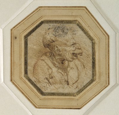Tête grotesque - Leonardo da Vinci