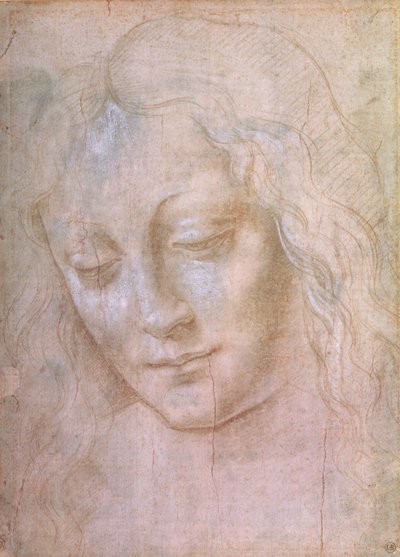 Tête de femme - Leonardo da Vinci
