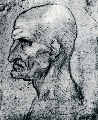 Tête d
