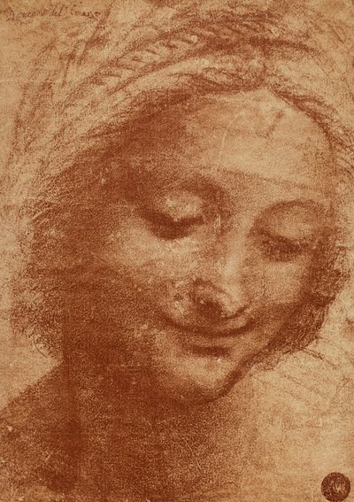 Tête de femme ou de Sainte Anne (dessin de Léonard de Vinci) - Leonardo da Vinci