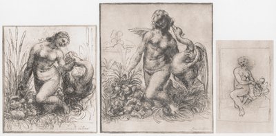 Léda et le cygne, vers 1504-1506 - Leonardo da Vinci