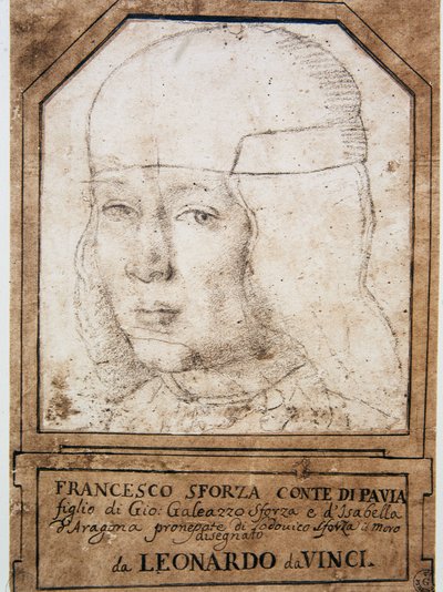 Leonardo da Vinci (Leonardo da Vinci) (1452 - 1519): Portrait de François (Francesco) Sforza (1491-1512), fils de Gian Galeazzo Maria Sforza (Jean Galeas Marie Sforza) (1469-1494), Duc de Milan - Leonardo da Vinci
