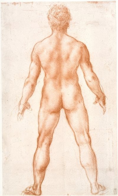 Nu masculin vu de dos - Leonardo da Vinci