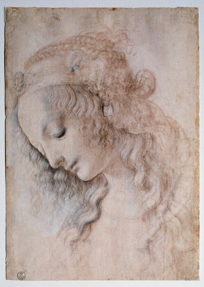 Portrait de jeune fille - Leonardo da Vinci