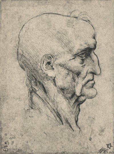 Profil à droite d