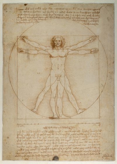 Schéma des proportions de la figure humaine selon Vitruve - Leonardo da Vinci