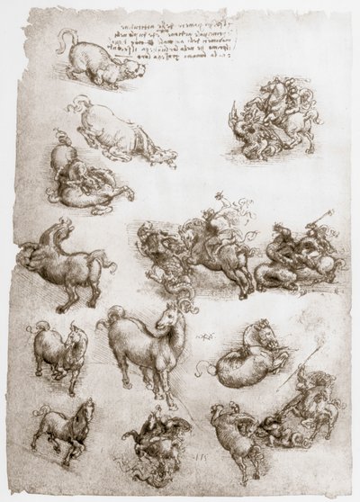 Saint Georges et le Dragon, vers 1506 - Leonardo da Vinci