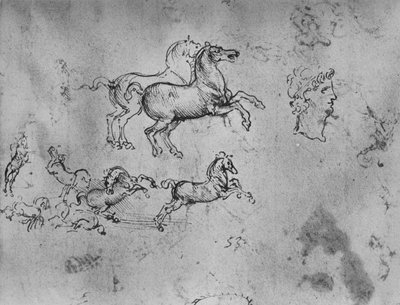 Études de chevaux au galop et une tête - Leonardo da Vinci