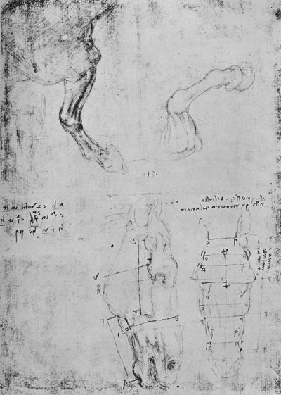 Études des avant-bras des chevaux et dessins mesurés des têtes de chevaux, vers 1480, 1945 - Leonardo da Vinci