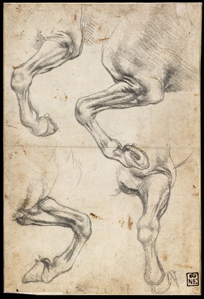 Études de jambes de chevaux - Leonardo da Vinci