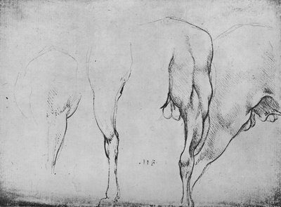 Études de jambes de chevaux, vers 1480 1945 - Leonardo da Vinci