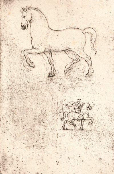 Étude pour le monument Sforza, vers 1482-1499, 1883 - Leonardo da Vinci